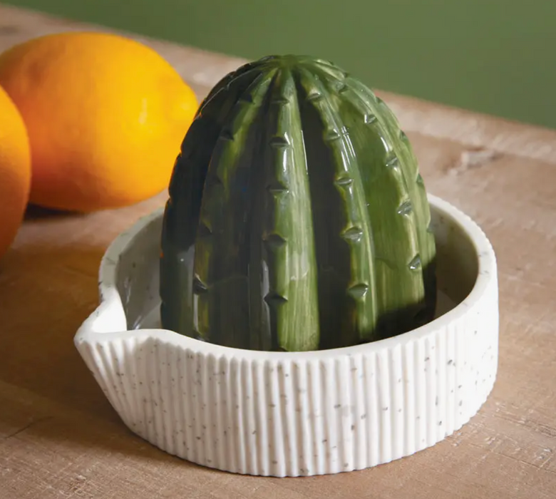 Ceramic Cactus Juicer